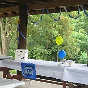 Picture 005